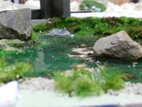 DSCN1209 715 S