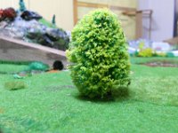DSCN1420 885 S