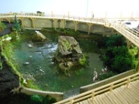 DSCN1700 1296 S
