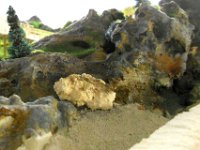 DSCN1707 1303 S