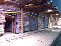 P1190026 Site