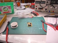 DSCN1198 704 S